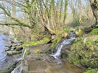 IMG_20250310_110246