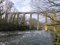 IMG_20250310_110248