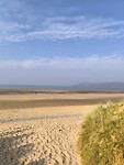 IMG_20250310_135858
