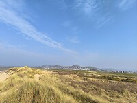 IMG_20250310_140813