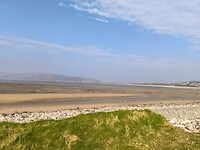 IMG_20250310_142006
