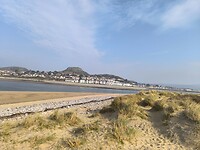 IMG_20250310_142619