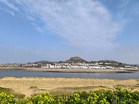 IMG_20250310_142954