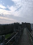 IMG_20250310_153046