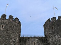 IMG_20250310_153334