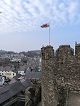 IMG_20250310_154554_1