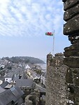 IMG_20250310_154646_1