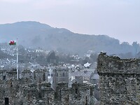 IMG_20250310_155715