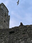 IMG_20250310_161001