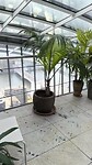 VID_20250315_115639