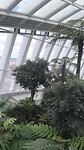 VID_20250315_115755