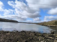 IMG_20250311_110748