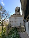 IMG_20250311_111649
