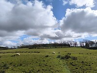 IMG_20250311_115214