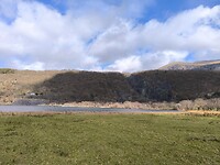 IMG_20250311_133135
