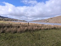 IMG_20250311_133145