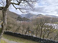 IMG_20250311_141714