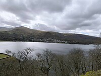 IMG_20250311_141918