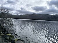IMG_20250311_153842