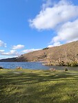 IMG_20250311_160137