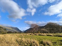 IMG_20250311_160442
