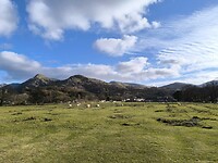 IMG_20250311_160613