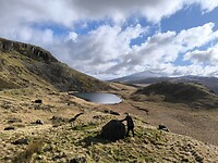 IMG_20250312_091501