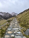 IMG_20250312_094408