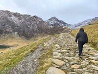 IMG_20250312_095002