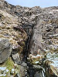 IMG_20250312_100042