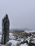 IMG_20250312_114402