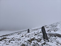 IMG_20250312_114748