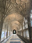 IMG_20250313_101209