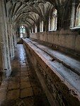 IMG_20250313_101439