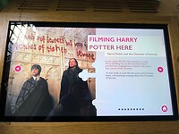 IMG_20250313_101845