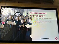 IMG_20250313_101926