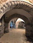 IMG_20250313_114757