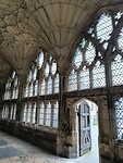IMG_20250313_120140
