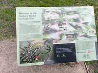 IMG_20250313_135713