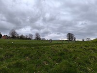 IMG_20250313_140043