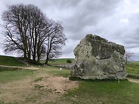 IMG_20250313_142530
