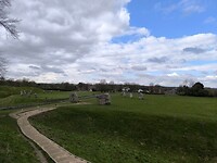 IMG_20250313_142721