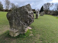 IMG_20250313_144600