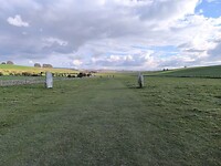 IMG_20250313_153154