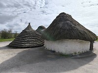 IMG_20250314_110949
