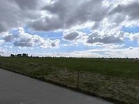 IMG_20250314_121029