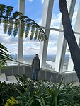 IMG_20250315_112746