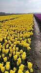 VID_20250421_093940