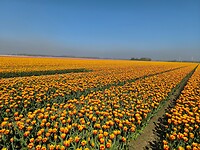 IMG_20250412_114136