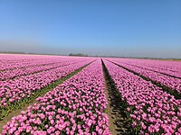 IMG_20250412_114636
